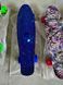 Пенні борд скейтборд Penny Board Fish Skateboards 22" ABEC-7 з колесами, що світяться MA-262 фото 7