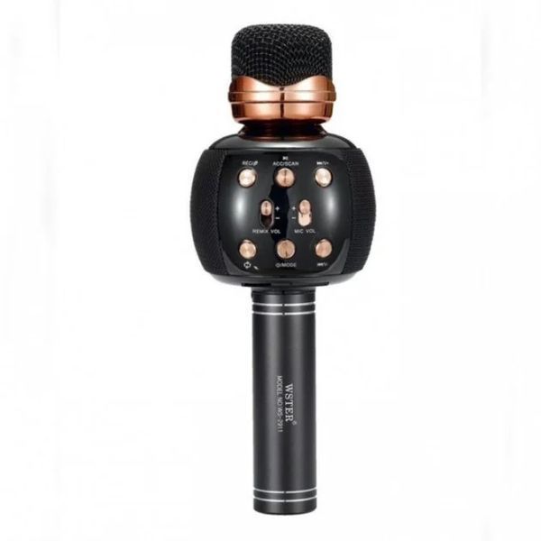 Бездротовий караоке мікрофон з динаміком 5 тембрів USB AUX FM Wster WS-2911 5094623 фото