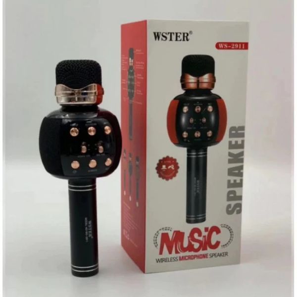 Бездротовий караоке мікрофон з динаміком 5 тембрів USB AUX FM Wster WS-2911 5094623 фото