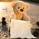 Інтерактивна іграшка Ведмедик Пікабу Peekaboo Bear pr6544458865 фото 2