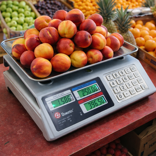 Ваги ACS 50kg/5g CK 982S Metal DOMOTEC sp2171 фото