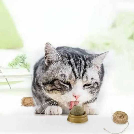 Котяча іграшка для кішок м'ятна кулька котячий льодяник VEN156 фото