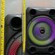 Бездротова караоке колонка з мікрофоном та RGB-підсвічуванням Sing-e ZQS8148 sp10281 фото 4