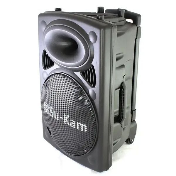 Портативна колонка Su-Kam BT 100D + 1 бездротовий мікрофон (12v/220v) sp7121 фото