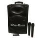 Портативна колонка Su-Kam BT 100D + 1 бездротовий мікрофон (12v/220v) sp7121 фото 1