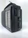 Радіоприймач акумуляторний Golon RX-607 AC Black 243201024303 фото 3