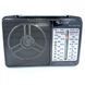 Радіоприймач акумуляторний Golon RX-607 AC Black 243201024303 фото 2