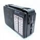Радіоприймач акумуляторний Golon RX-607 AC Black 243201024303 фото 1
