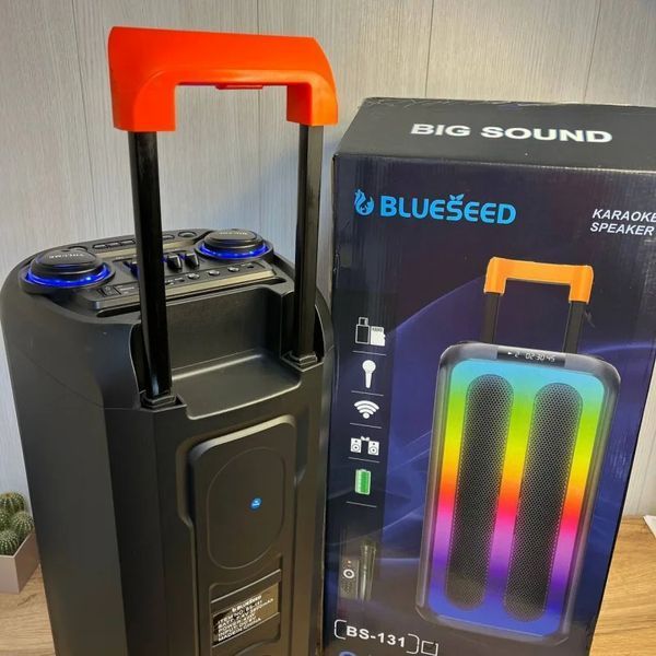 Колонка Bluetooth Wireless Speaker TTD-2820 VEN-1359-BS131 фото