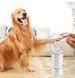 Лапомийка Pet Foot Wash 827-6 Автоматичний очищувач собачих лап з юсб USB 2052691 фото 2