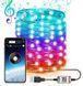 Новорічна розумна світлодіодна гірлянда Encora Xmas Lights, 100LED, 10М з керуванням через Bluetooth 2124077 фото 1