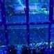 Гірлянда світлодіодна Сітка 200 LED 3х2м 2124074 фото 5