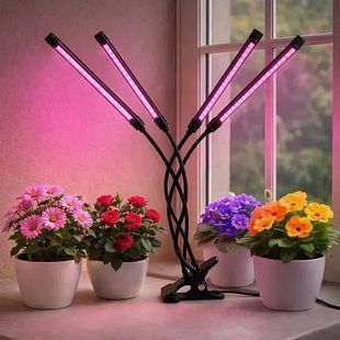 Світлодіодна фітолампа Grow Light для вирощування рослин, розсади Повний спектр 4 голови 2019085 фото