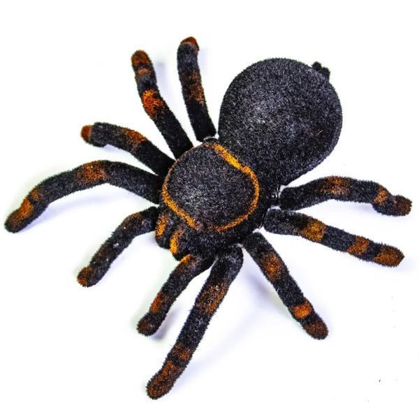 Павук Тарантул на радіоуправлінні з очима 30 см Cute Sunlight 871 Tarantula 2123467743 фото