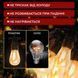 Вулична гірлянда ретро-формату на 10 Led-ламп, довжина 5 метрів, тепле біле освітлення M16908 фото 5