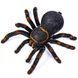 Павук Тарантул на радіоуправлінні з очима 30 см Cute Sunlight 871 Tarantula 2123467743 фото 4