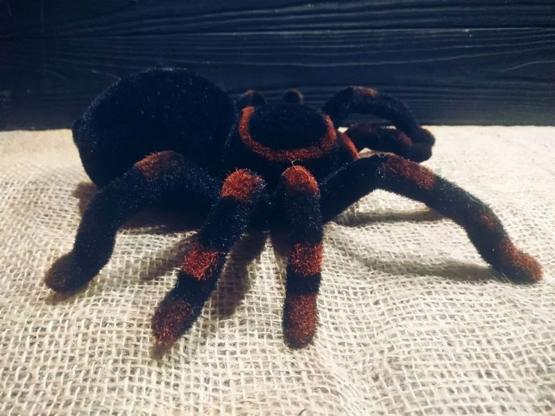 Павук Тарантул на радіоуправлінні з очима 30 см Cute Sunlight 871 Tarantula 2123467743 фото