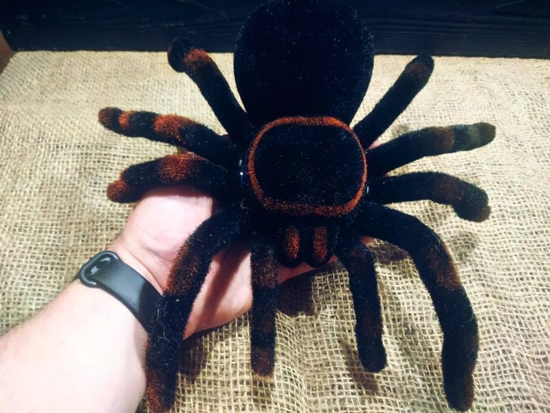 Павук Тарантул на радіоуправлінні з очима 30 см Cute Sunlight 871 Tarantula 2123467743 фото
