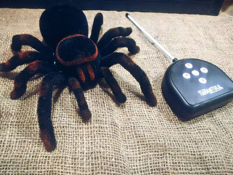 Павук Тарантул на радіоуправлінні з очима 30 см Cute Sunlight 871 Tarantula 2123467743 фото