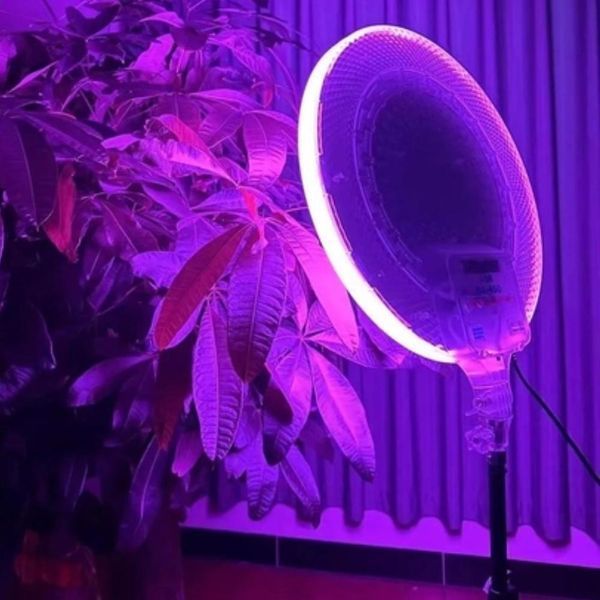 Кругла світлодіодна лампа 45см RGB-LED Fill Light GS-450 кольорова з пультом для фото та відео 225gs-450 фото