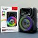 Бездротова караоке колонка з мікрофоном та RGB-підсвічуванням ZQS8147 sp10280 фото 2