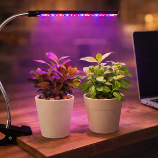 Світлодіодна фітолампа Grow Light для вирощування рослин, розсади Повний спектр 1 голова 2019086 фото