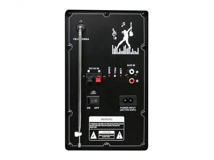 Колонка з акумулятором ZXX-9292 / 2x10"/ 2x125W/ 2 радіомікрофони / TMG ORIGINAL 2284109292 фото