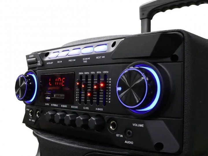 Колонка з акумулятором ZXX-9292 / 2x10"/ 2x125W/ 2 радіомікрофони / TMG ORIGINAL 2284109292 фото