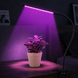 Світлодіодна фітолампа Grow Light для вирощування рослин, розсади Повний спектр 1 голова 2019086 фото 3