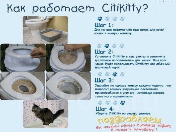 Набір для привчання кішки до унітазу CitiKitty 801598788 фото