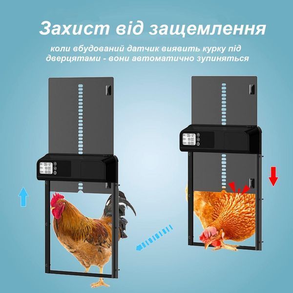 Автоматичні двері для курника з РК-дисплеєм та таймером, заслінка/ворота для сільськогосподарських птахів від хижаків MA-349 фото