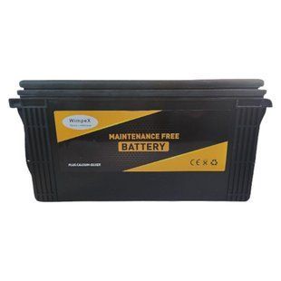 Гелевий акумулятор Wimpex 12V 100Ah wx12100 фото