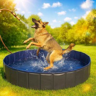 Басейн для собак, басейн для домашніх тварин Pet Pool AND XL-1461 2054375 фото