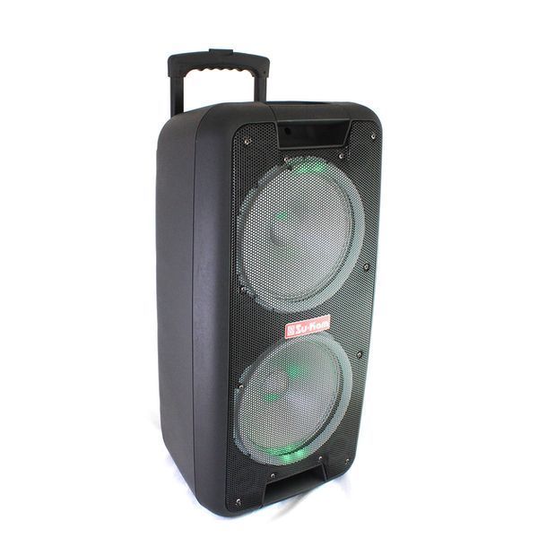 Портативна колонка Su-Kam 1010 + 2 мікрофони + BT 12v220v sp7072 фото