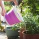 Складане силіконове відро 5л Collapsible Bucket pr4648000 фото 3