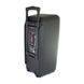 Портативна колонка Su-Kam 1010 + 2 мікрофони + BT 12v220v sp7072 фото 4
