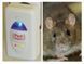 Засіб для знищення гризунів та комах Pest Reject 8011533 фото 2