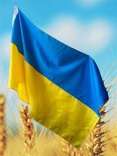 Прапор України 3 на 2 M4141 фото