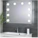 LED лампочки 10 шт для дзеркала 3 режими Mirror lights-meet different живлення USB 5098525 фото 4