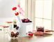 Прилад для видалення кісточок Helfer Hoff Cherry and olive corer 448743 фото 1