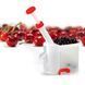 Прилад для видалення кісточок Helfer Hoff Cherry and olive corer 448743 фото 4