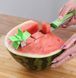 Пристрої для нарізки кавуна та дині SUNROZ Watermelon Slicer ніж-слайсер Зелений 20577414 фото 1