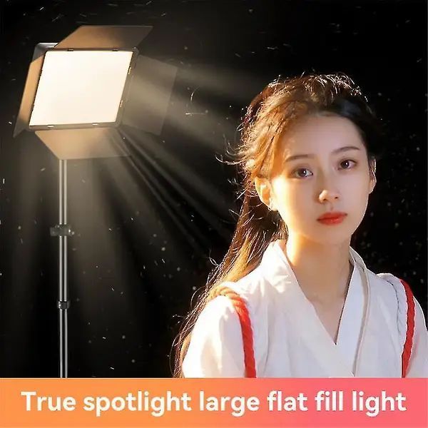 Світлодіодна лампа відеосвітла Camera light RL-900 з пультом 3000k-6500k 225RL-900 фото