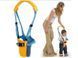Дитячі ходунки Walking assistant, віжки, повідець 80113153 фото 3