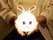 Дитячий силіконовий нічник 3DTOYSLAMP Кролик 540145100 фото 1